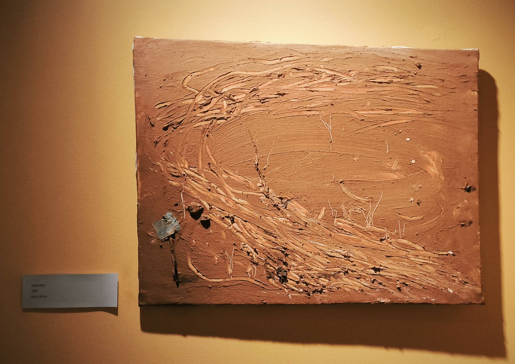 bienvenue sur le site des Amis de François Augiéras, peintre et écrivain immergé dans la nature, artiste aux semelles de vent, 1925-1971